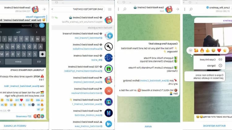Zone Download Telegram New Address