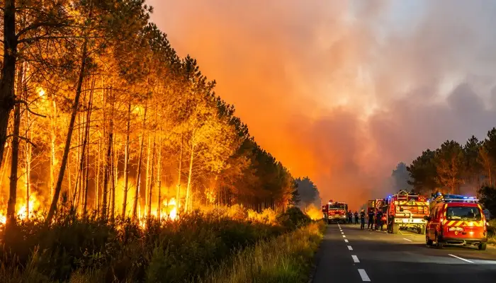 Incendies En Gironde